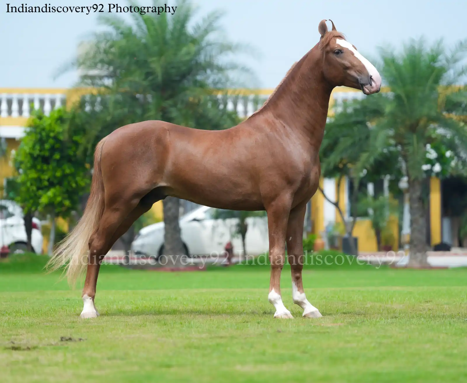 Colt Bharamdev - Image 2