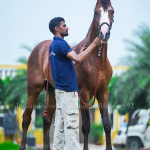 Colt Suryavanshi