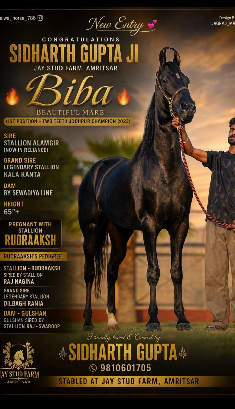 Mare Biba - Image 3